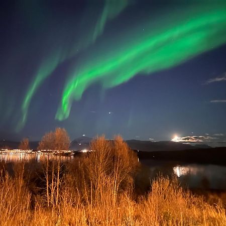 Willa Aurora North Tromsø Zewnętrze zdjęcie